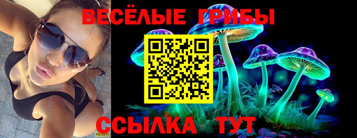 Псилоцибиновые грибы MAGIC MUSHROOMS  Вход с VPN  купить   Галлюциногенные грибы Cubensis  Мончегорск 