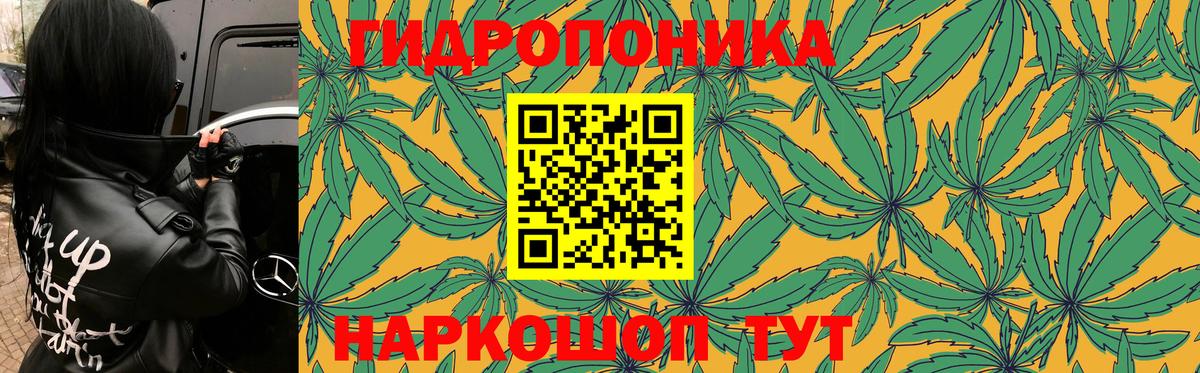 Канабис AK-47  Каннабис тримм  Мончегорск  Вход с VPN 